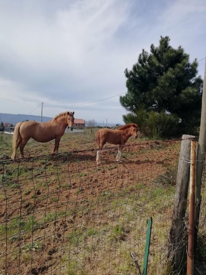 Sorianello B&B Passo Del Falco المظهر الخارجي الصورة